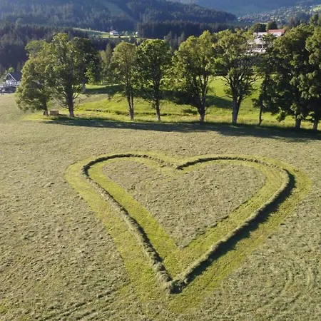 Blumenwiese Ramsau am Dachstein