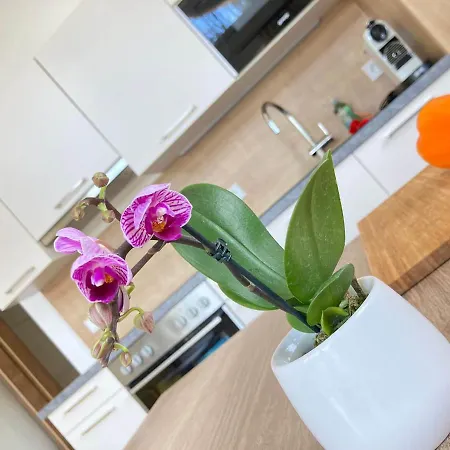 Blumenwiese * רמסאו אם דכשטיין